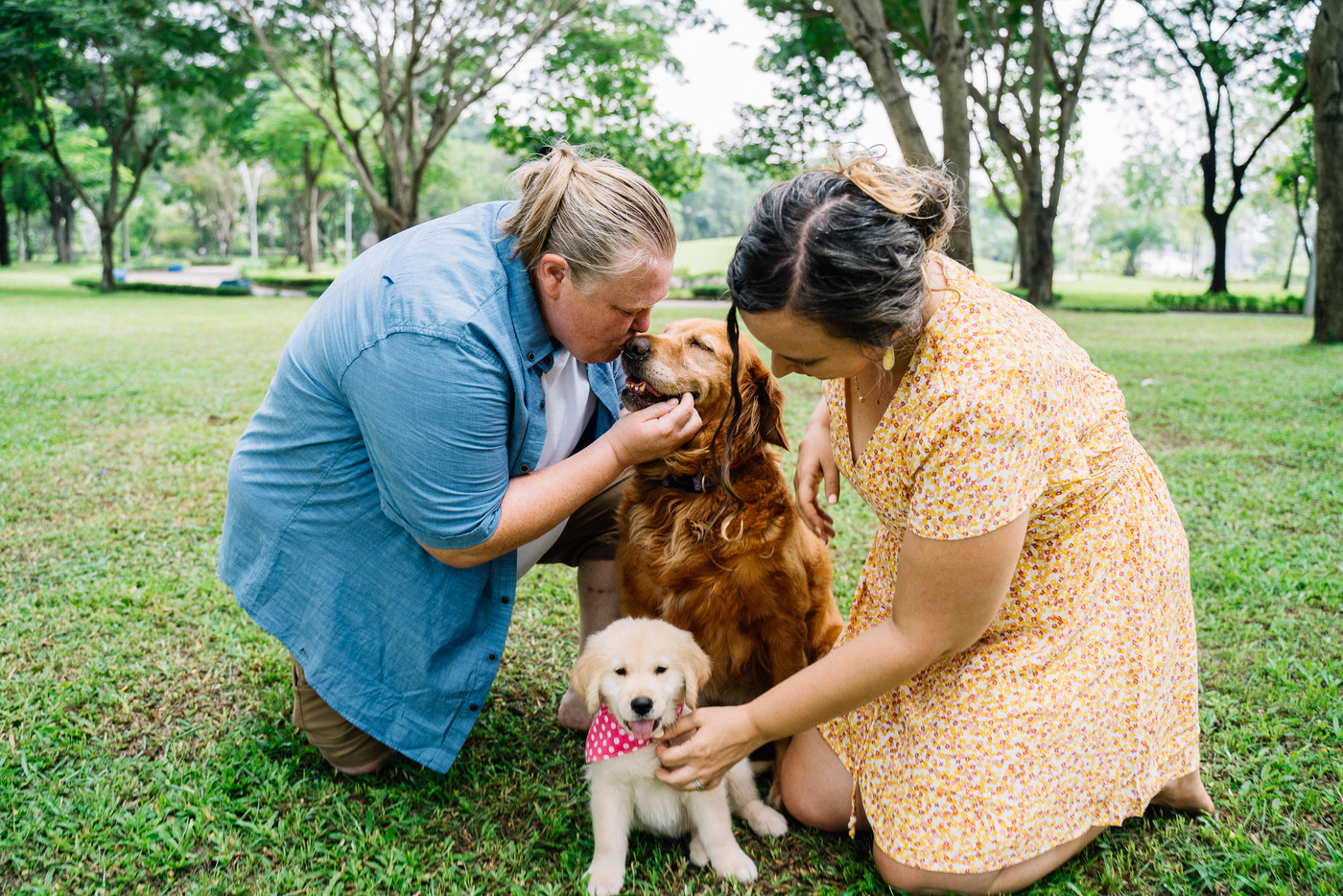 People Having A Good Time With Their Dogs